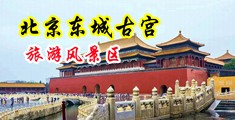 爆艹小粉逼中国北京-东城古宫旅游风景区